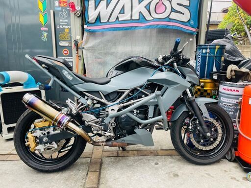 ★実動！ Z250SL スタント仕様！ 走行1.3万km ダブルキャリパー スタントケージ サブケージ 千葉 木更津から ローン可！ 配送可！