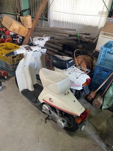 SUZUKI 薔薇 蘭 2台セット