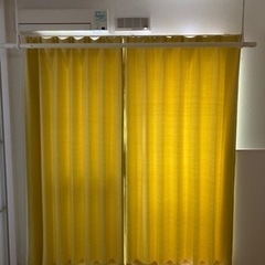 黄色のカーテン