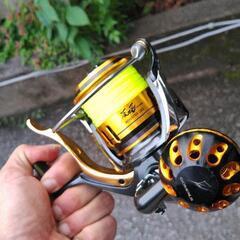 尾長モンスターLBD(再出品)