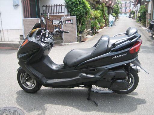 マジェスティ250C 美車ノーマル 動画有り 【公式通販】