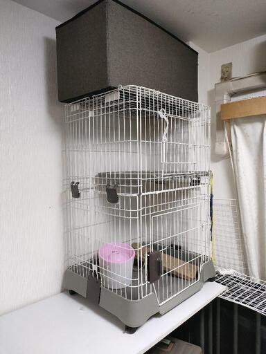 猫用ゲージ