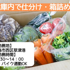 食品倉庫内での軽作業/仕分け・箱詰め/広島市西区草津港 c00401