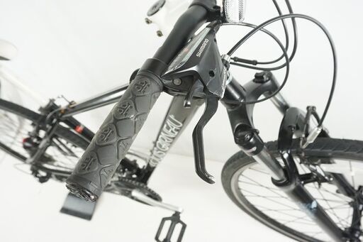 LOUIS GARNEAU 「ルイガノ」 FIVE 29 700c変更 2013年モデル 