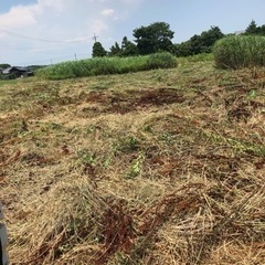 草刈り、除草作業