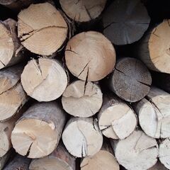 値下げ！ 薪 約4立まとめて 種類不明 ストーブ等燃料に！