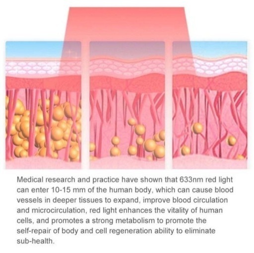 最新コラーゲンマシン最終値下げ