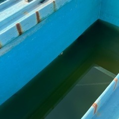 最終値下げFRP水槽 約2トン 金魚 錦鯉 メダカ