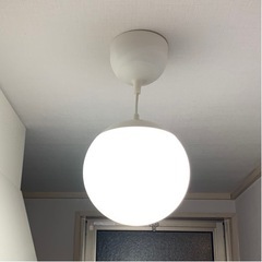 天井照明 ランプ  2点セットIKEA  FADOファード