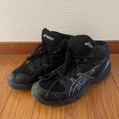 asics ジュニア　ダンクショット　24センチ