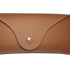 WiiM Pro Plus 次世代マルチルームネットワークストリーマー-Ray Banメンズ　サングラス