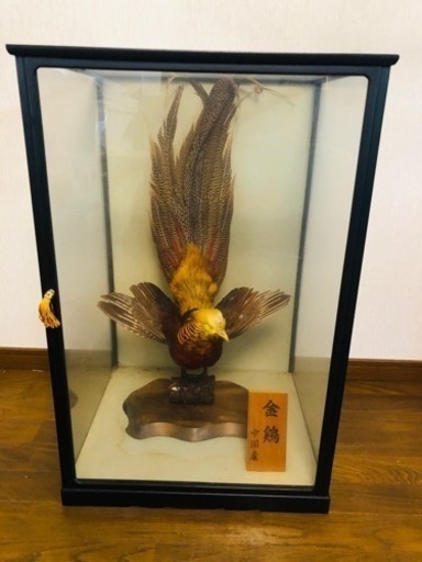 金鶏 置物 ガラスケース