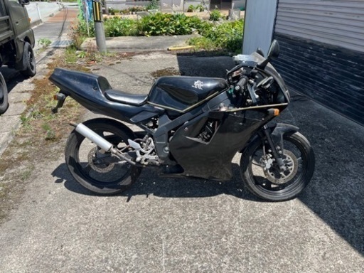 tzr50実動