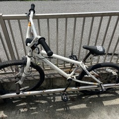 ドッペルギャンガー　自転車