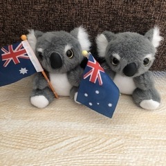 オーストラリアで購入　コアラのぬいぐるみ　２個