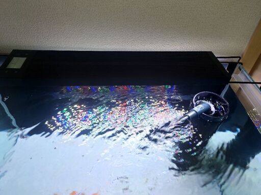 60cm ワイド ガラスオーバーフロー水槽