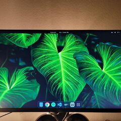 Dell Monitor 23" S2319HS 