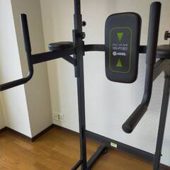 HAIGE HG-P1001(懸垂器具)