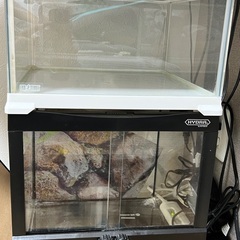 【ネット決済】エキゾテラ、ヒュドラ爬虫類飼育ガラスケージ ２個セット