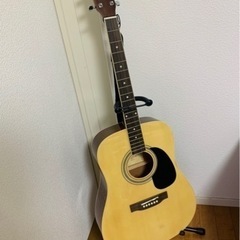アコースティックギター GW-10