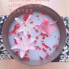 来週の空き状況🌺