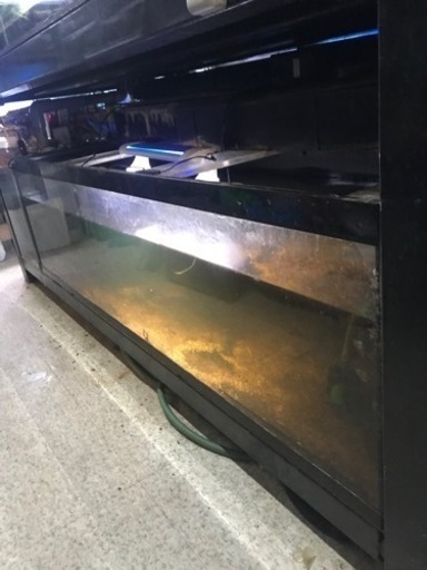 アクリル水槽、180アクリル水槽、3面ブラック水槽、アクアリウム、水槽