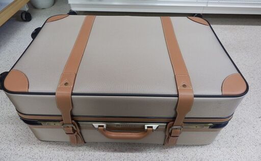 ProtecA スーツケース