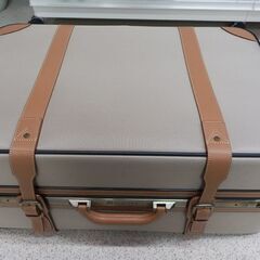 ProtecA スーツケース
