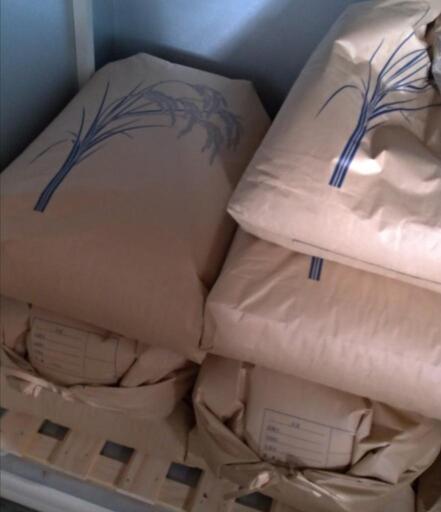 ②【玄米】コシヒカリ30キロ!在庫残り2袋!
