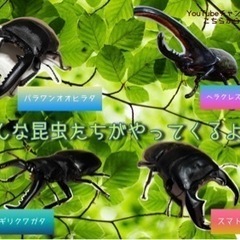 MIZONKO倶楽部in渋川動物公園クワカブ展示プレゼント　イベント🎉