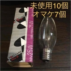 【ネット決済】シャンデリア電球 110V25C32CE17K 新...