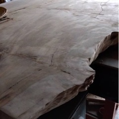 樺の木　テーブル素材