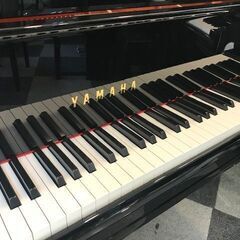 ヤマハ　中古グランドピアノ　C1TD　2019年製