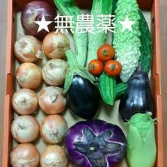 ★無農薬★夏野菜&玉ねぎセット