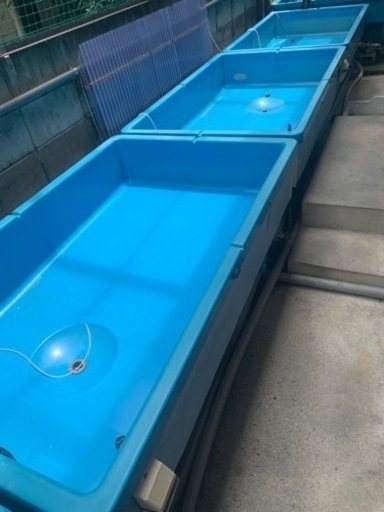 金魚飼育水槽