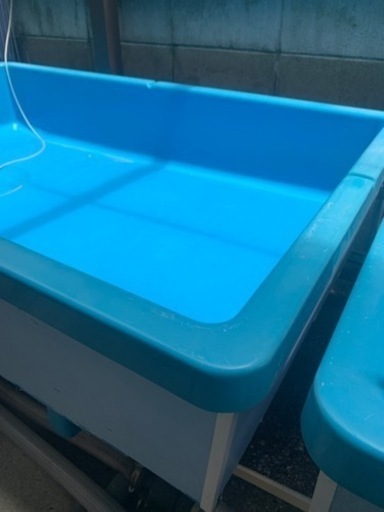 金魚飼育水槽