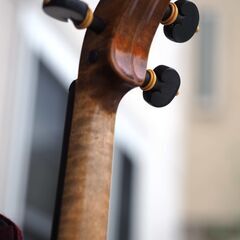 選定分類：I-④コンテンポラリー・マスターメード・イタリア】Violin