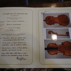 選定分類：I-④コンテンポラリー・マスターメード・イタリア】Violin
