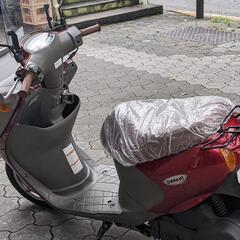 スズキバスケット