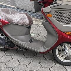 スズキバスケット