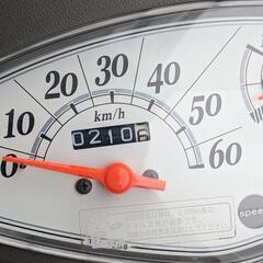 スズキバスケット