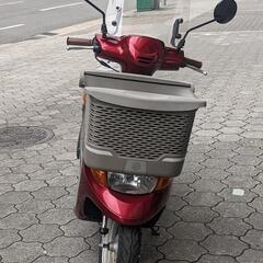 スズキバスケット