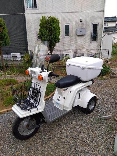 ジャイロｘミニカー登録