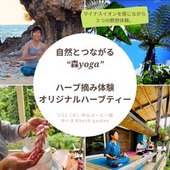 【名護】森yoga＆ハーブ摘み体験🌿の画像