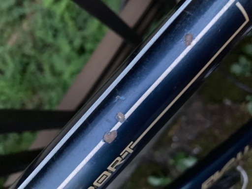 RALEIGH CLUB SPORT ラレー　クラブスポーツ