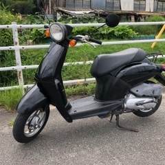 【ホンダ 】☆トゥデイ☆ 50cc 4サイクル 　スクーター　バ...