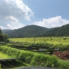 不要になった太陽光パネルを譲って下さい(4枚から)お礼あり！