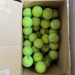 テニスボール　70個