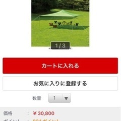 mont-bell ビッグルーフ一式