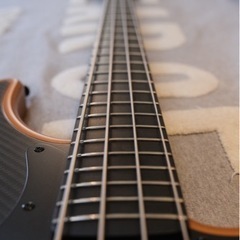 最終値下げ Alusonic J Special Deluxe 4